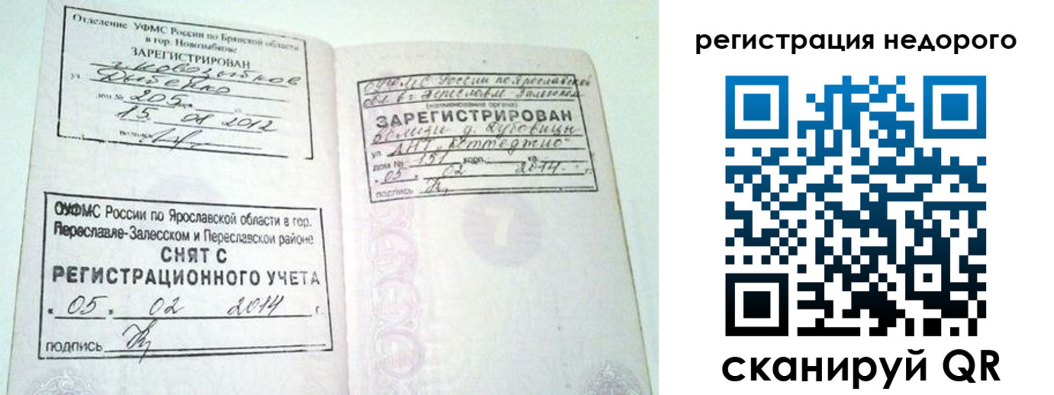прописка поиск в Ярославской области